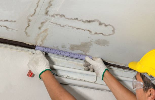 Reliable Water Damage contractor in Rochelle Park, NJ by Water Damage Irwin